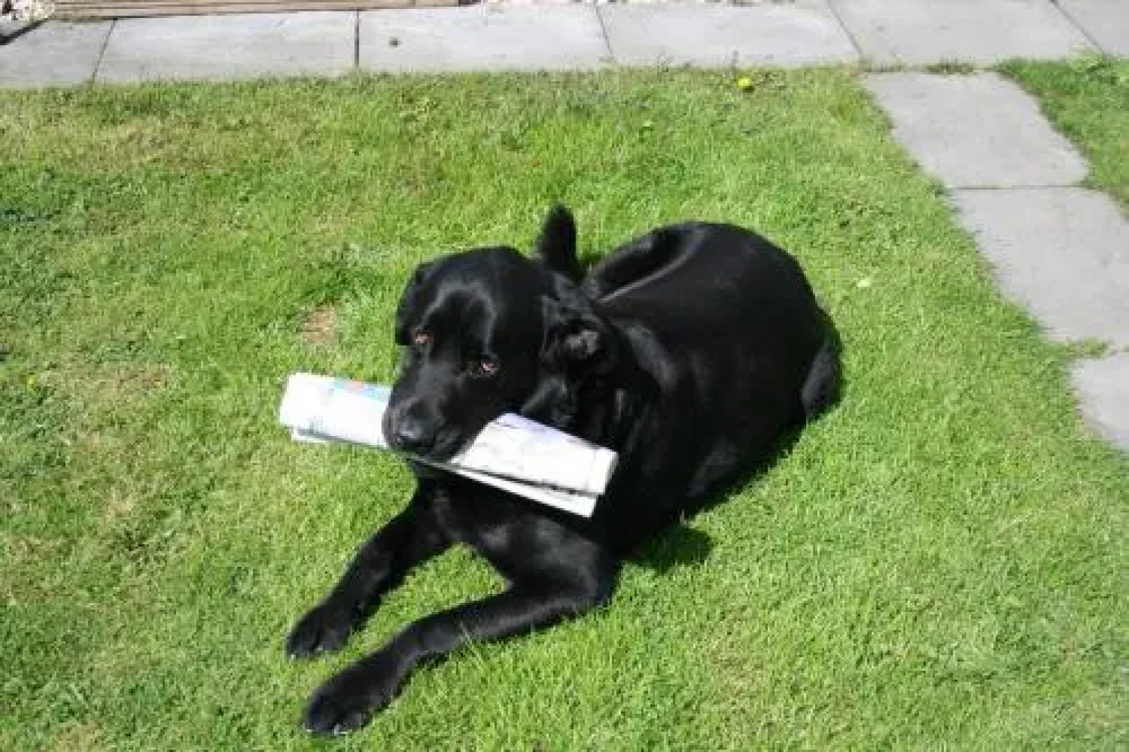 The Cobblers Bed and Breakfast