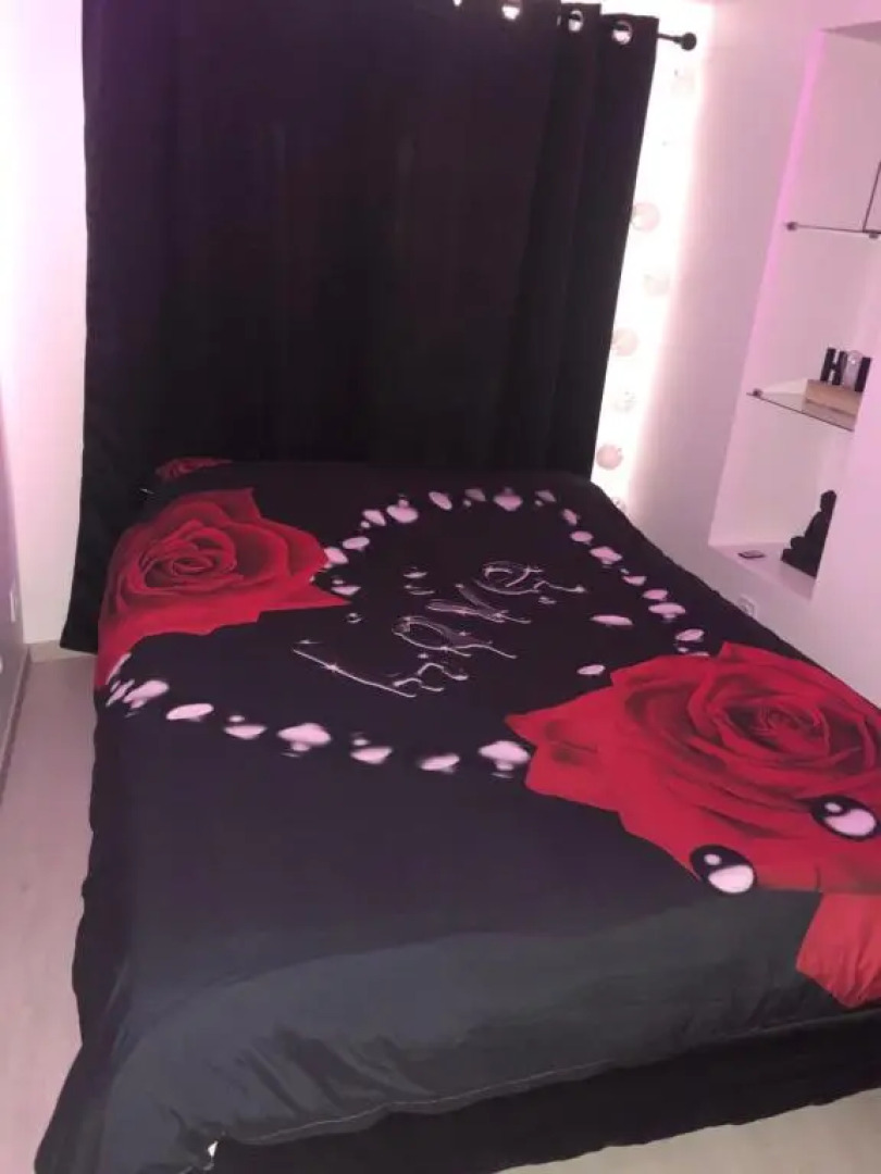 Appartement Love room avec jacuzzi et hammam privatisé Lieu insolite en amoureux Spa détente assurée avec de doux massages