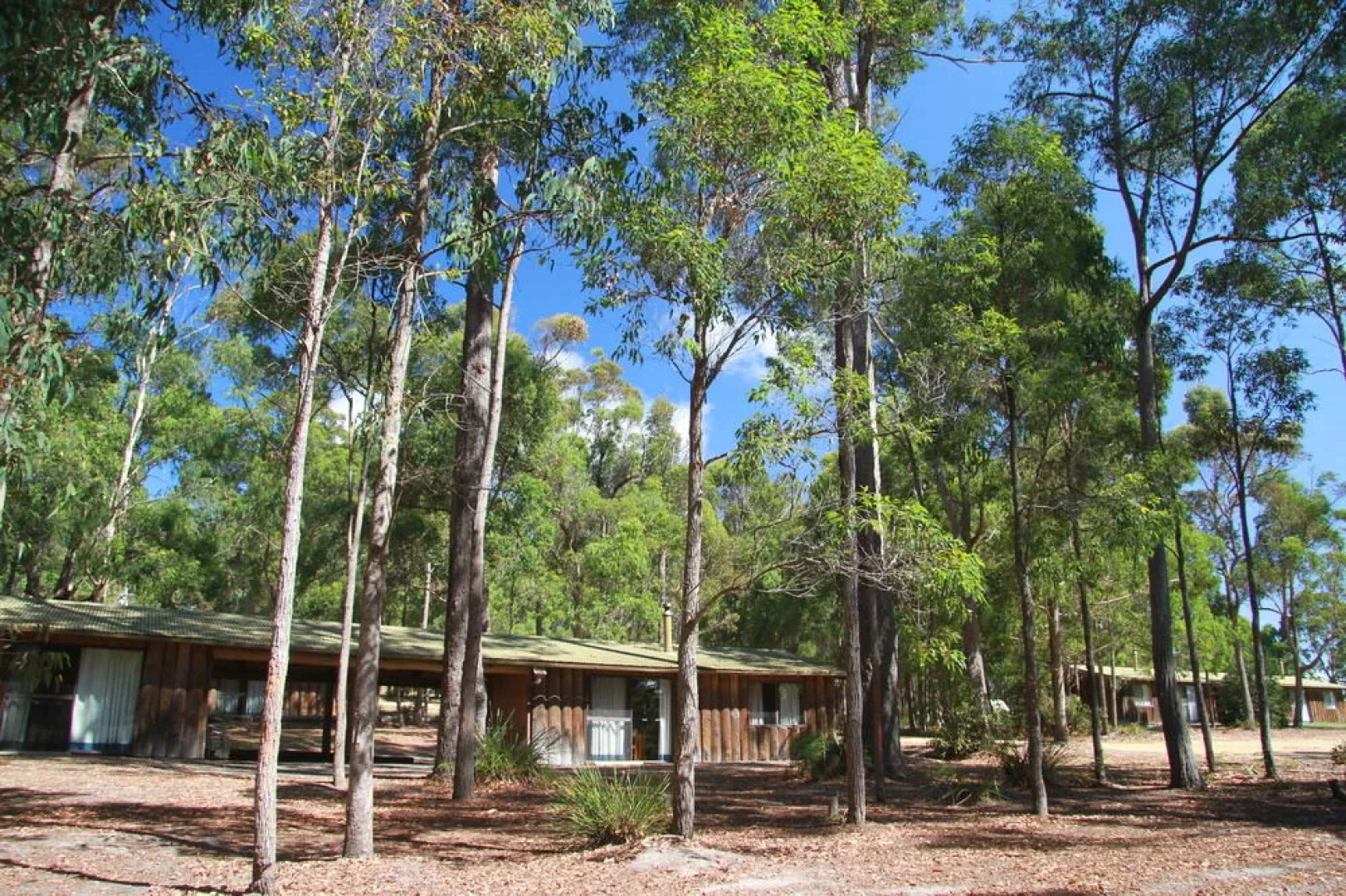 Woodbine Park Eco Cabins