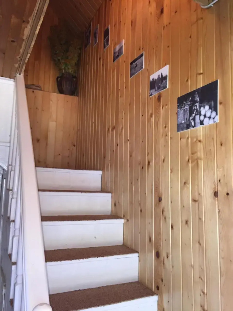 Rooms & Bungalows Djerkovic