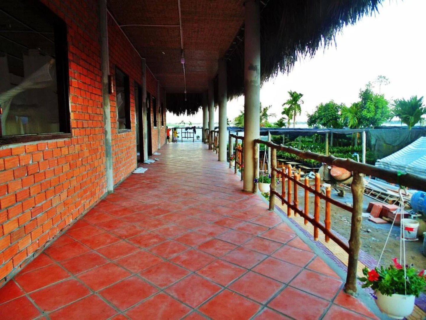 Flower & Frog Homestay