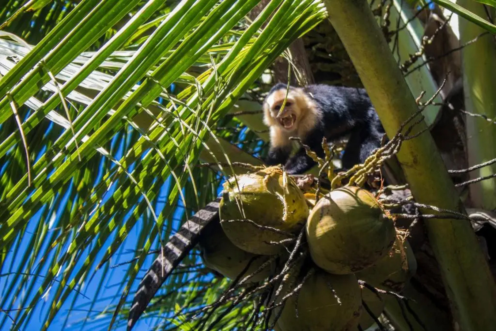 Casa Grande at Pacuare Reserve