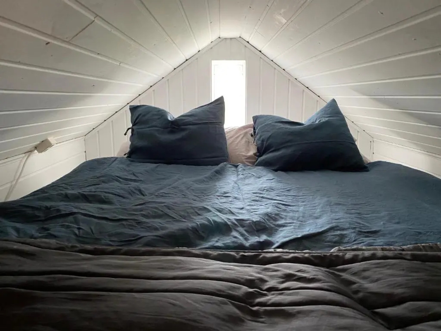 B&B Bland ormbunkar och rosor