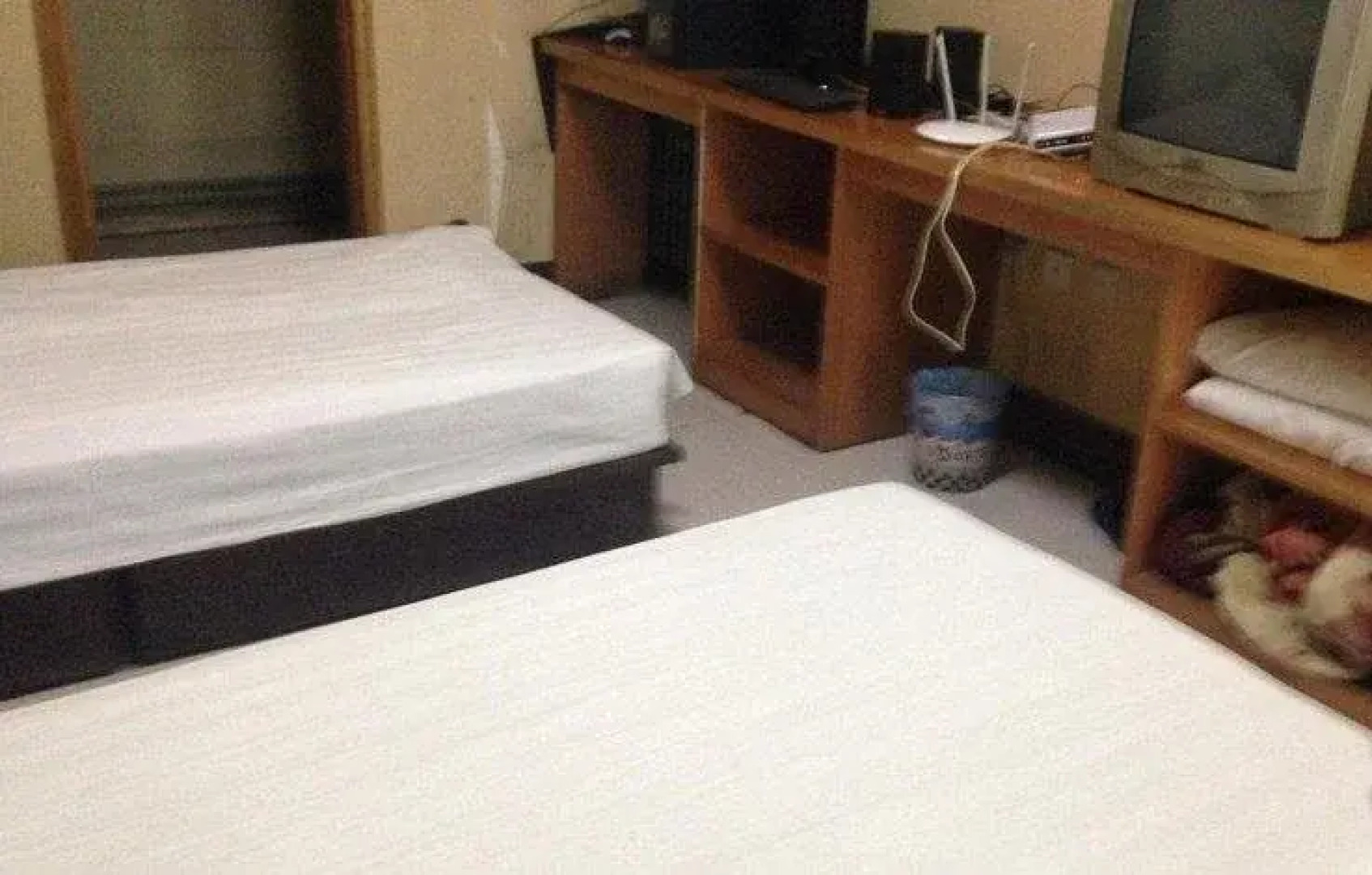 Diantou Zhaojia Homestay