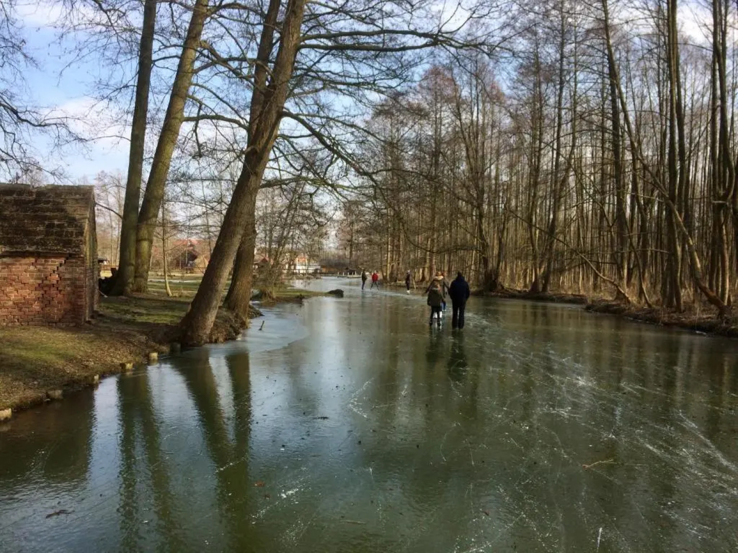 Storchenblick