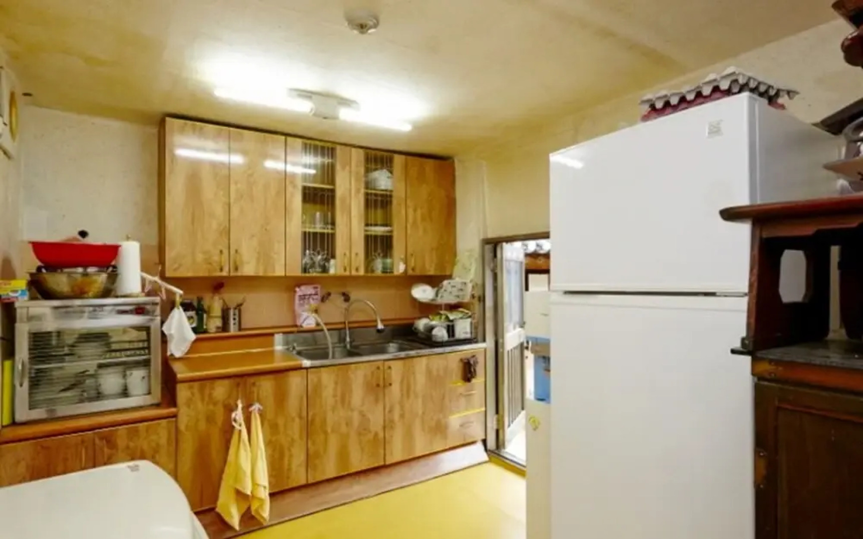 Chungju Wildflowers and Gotaengnadeuri