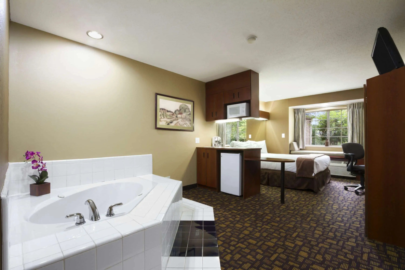 Microtel Inn & Suites by Wyndham Lithonia/Stone Mountain