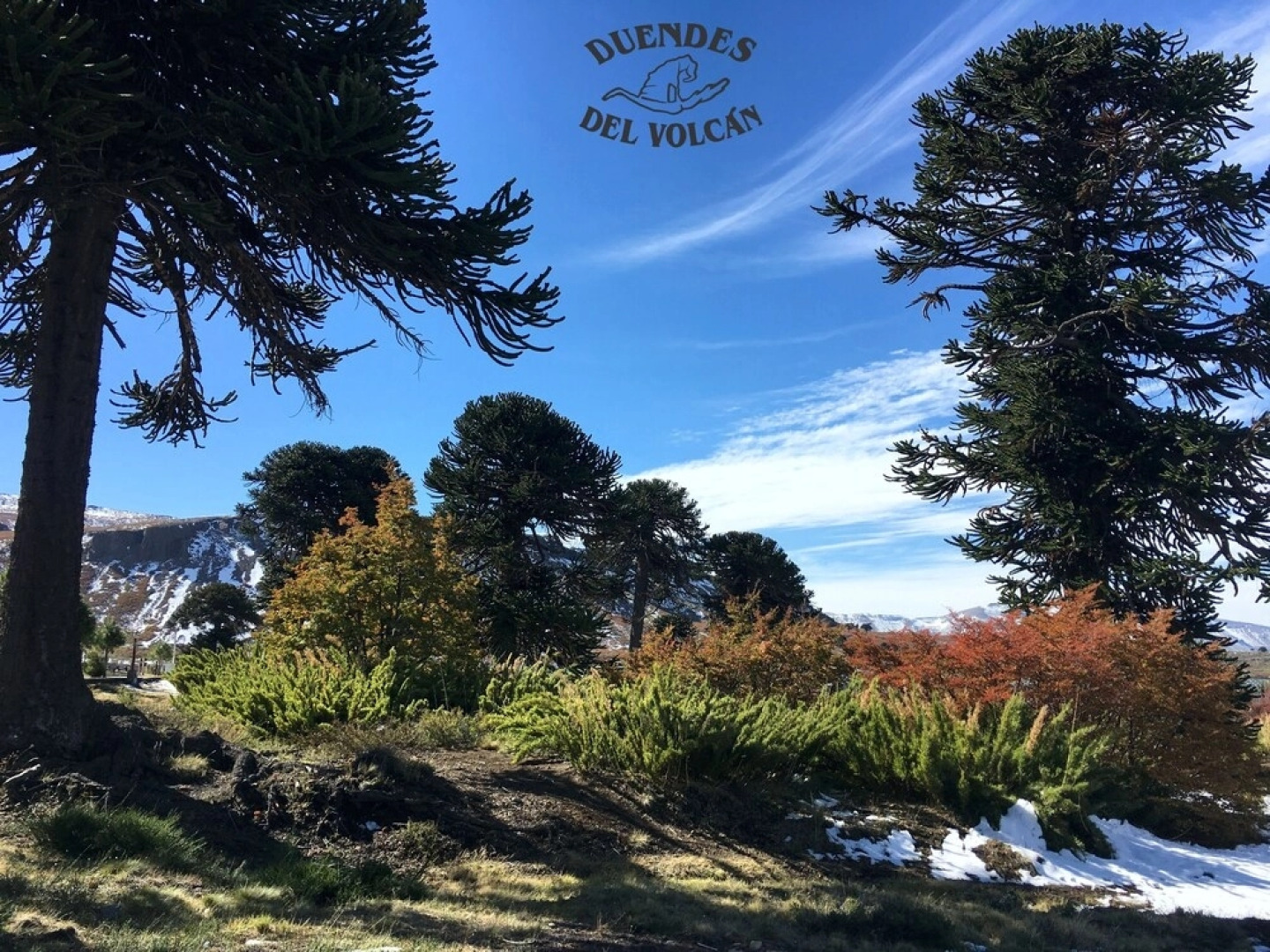 Hostería de Montaña los Duendes del Volcán
