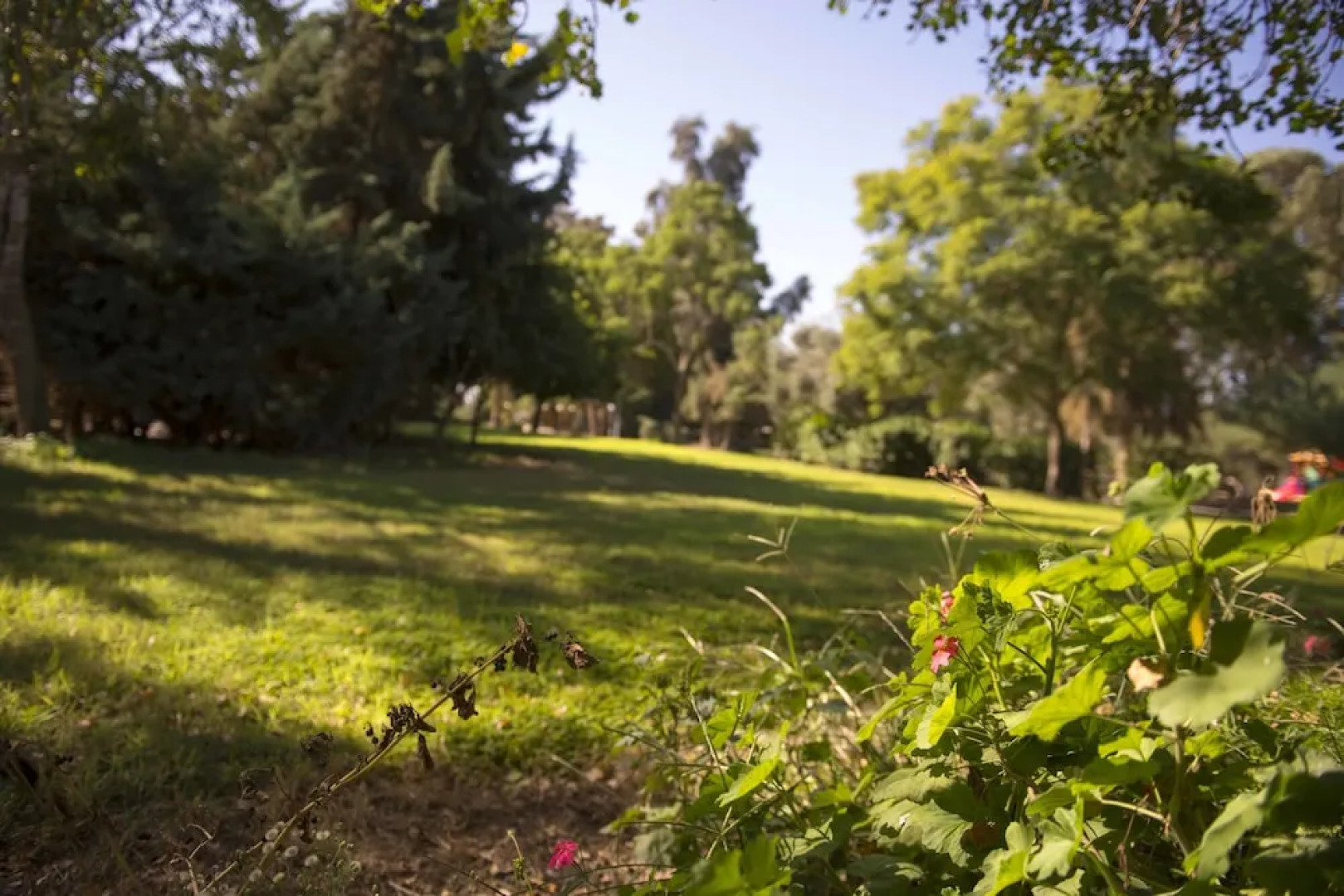 Kibbutz Gvulot Country Lodging
