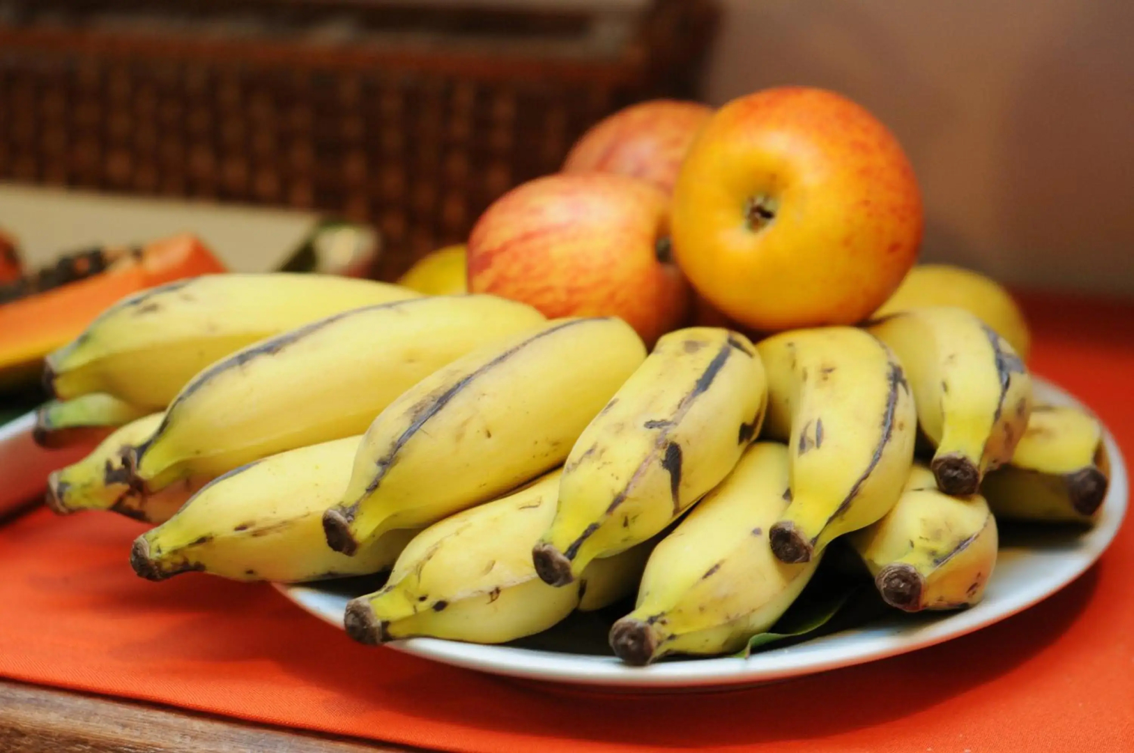 Pousada Canto do Rio