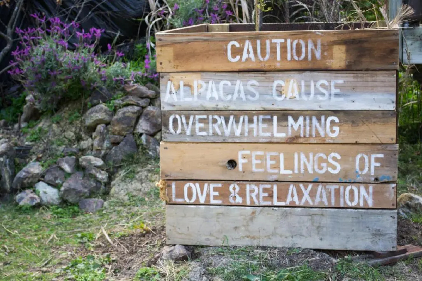 Waiheke Island Guesthouse