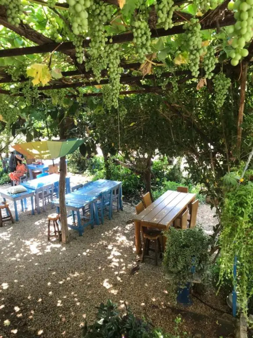 Senayablaevpansiyonculuk