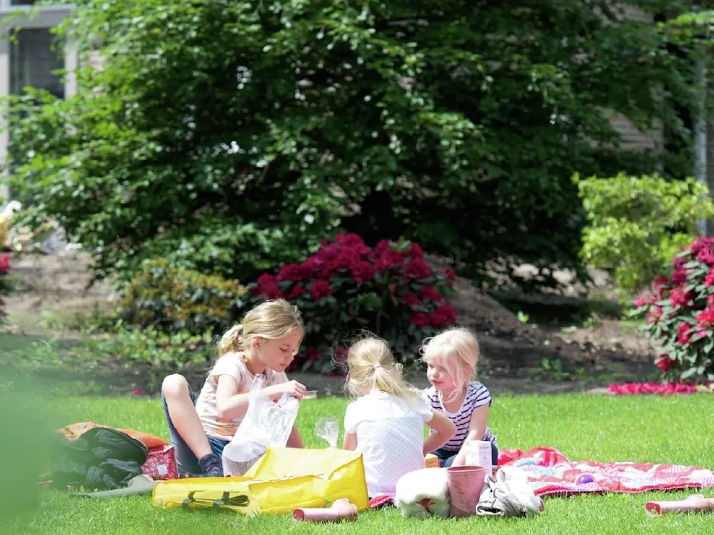 Luxury Villa in De Pier With Sauna