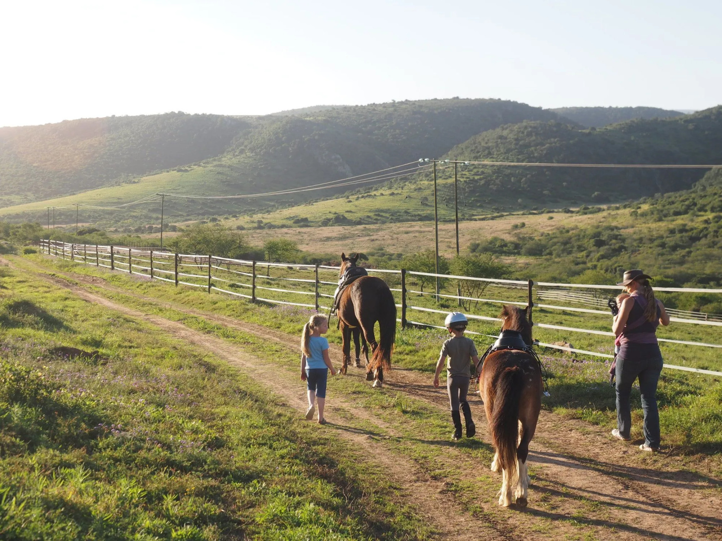 Pure Nature Familodge