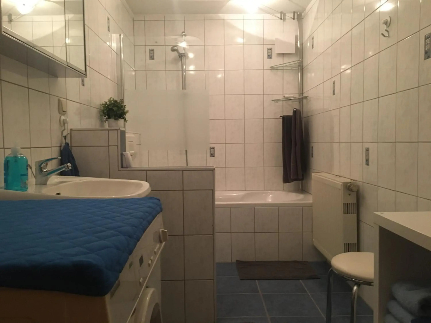 Ferienwohnung Schaub