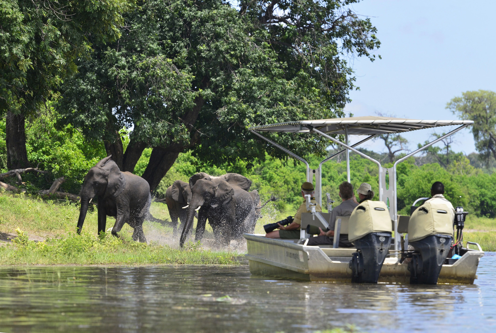 Zambezi Queen by Mantis