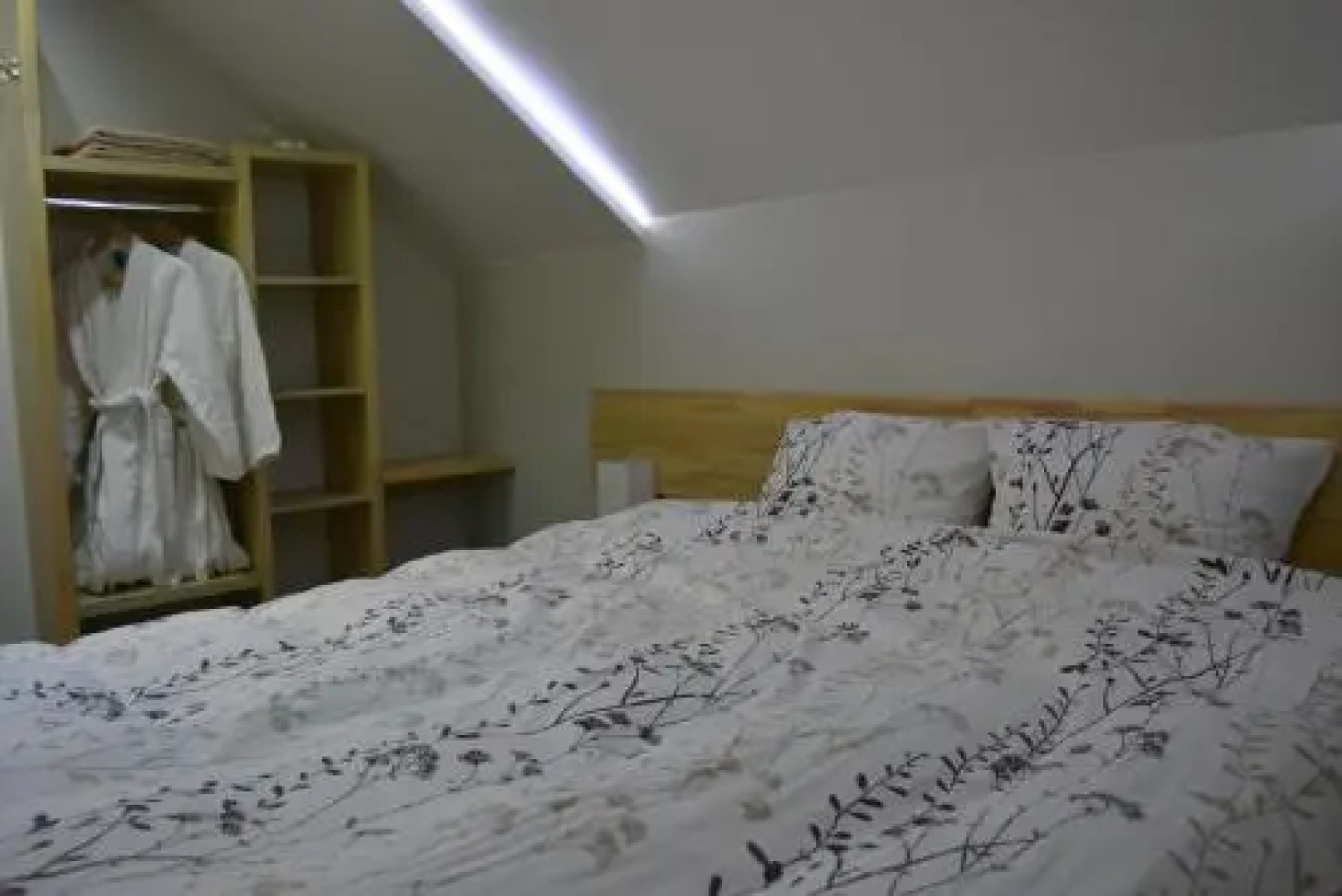 Viesu nams Raibais Asaris