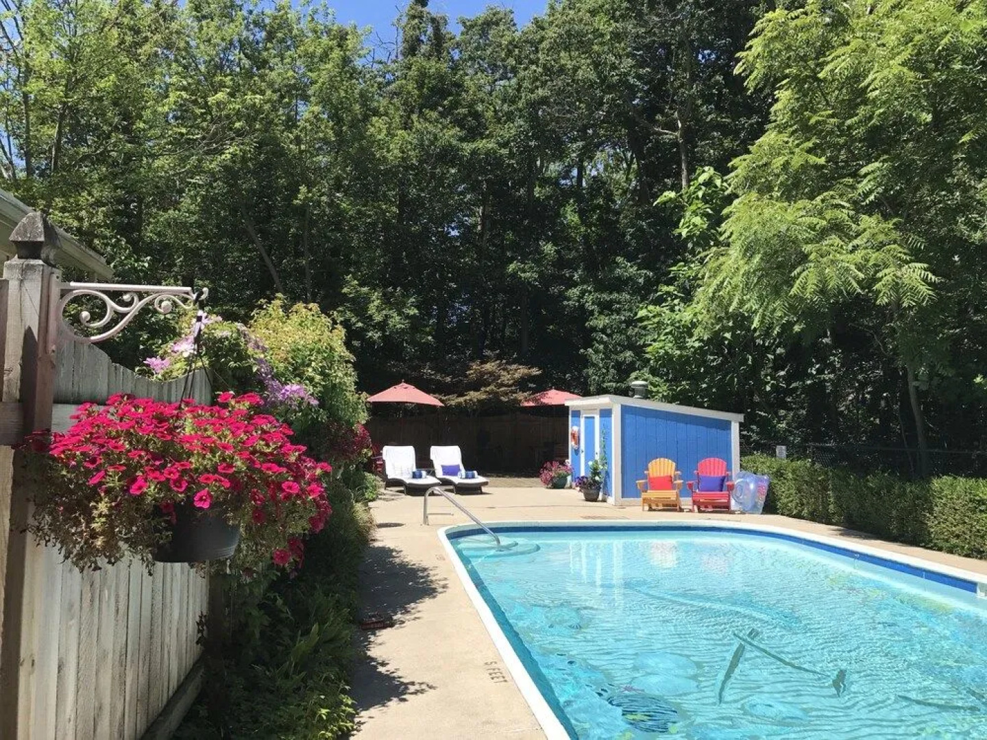 Sherwood Forest Bed and Breakfast