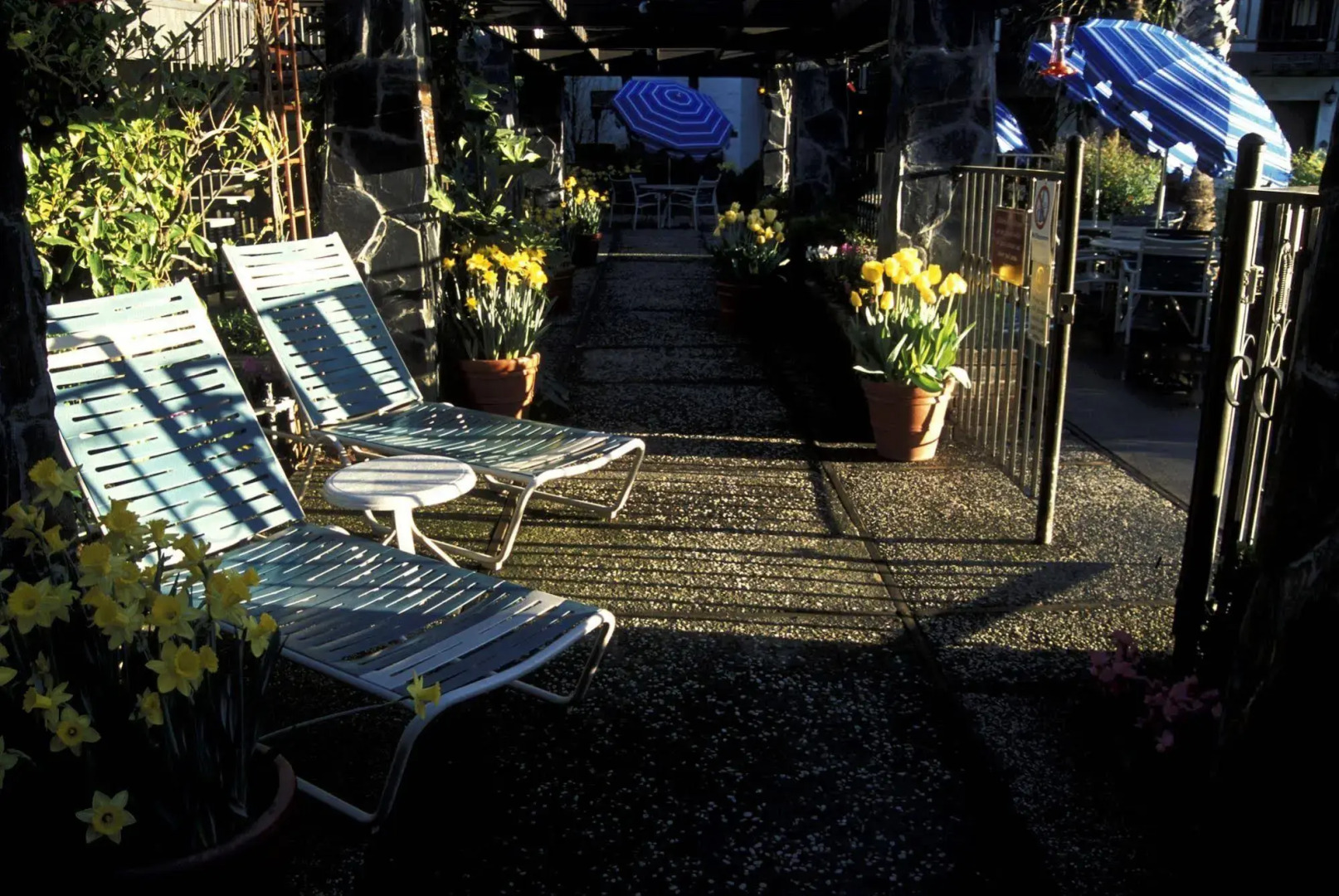 Roman Spa Hot Springs Resort