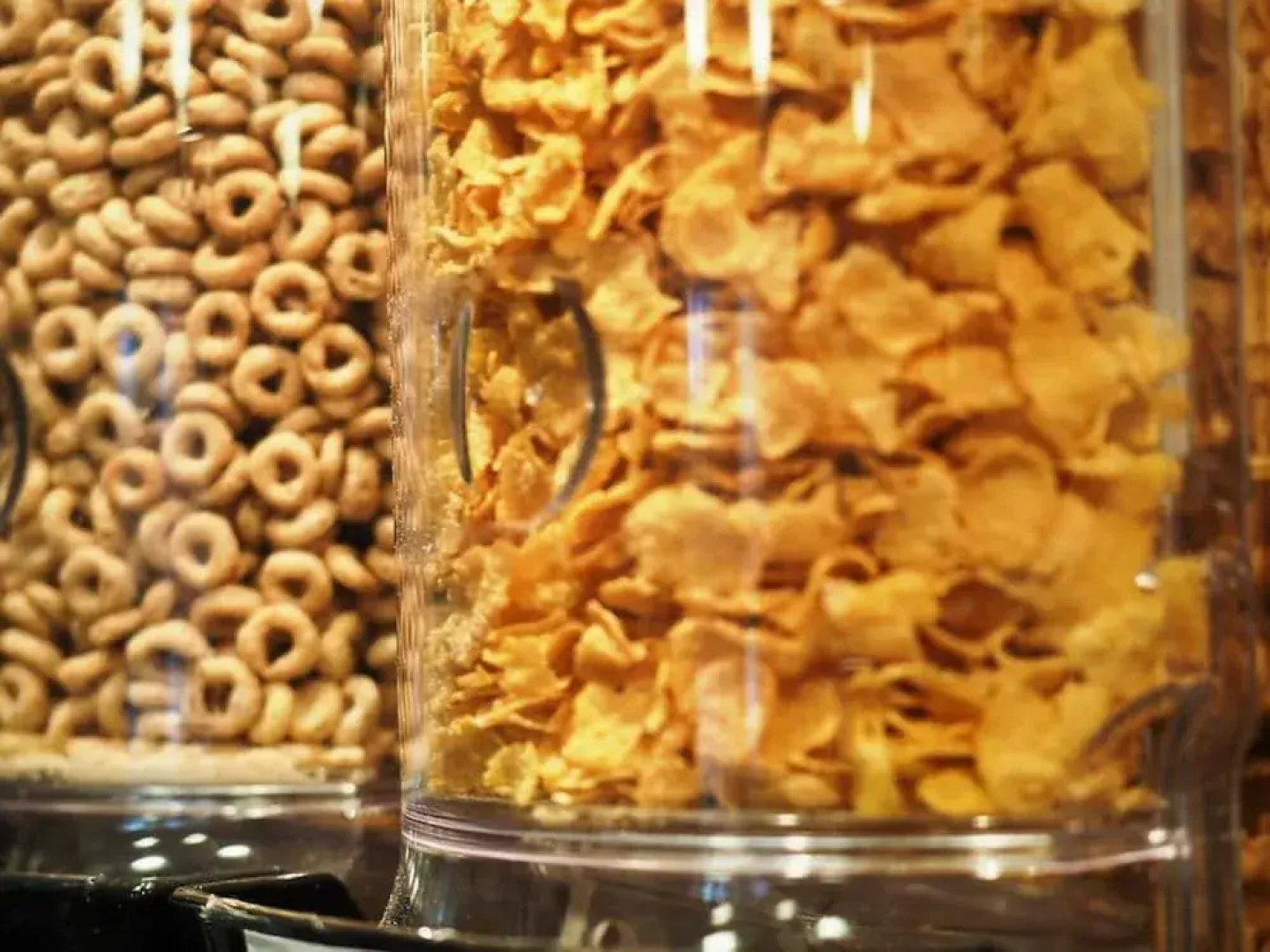 Hotel & Suites Les Laurentides Saint Sauveur