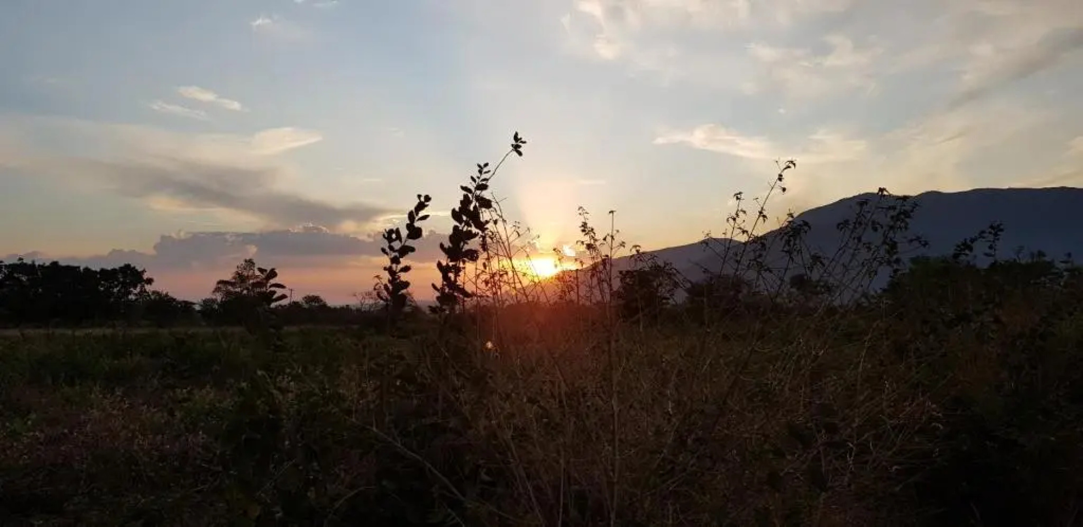 Madonna Furnished Apartments