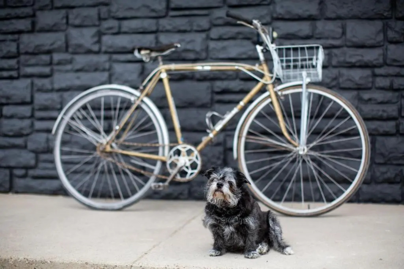 Spoke and Vine Motel