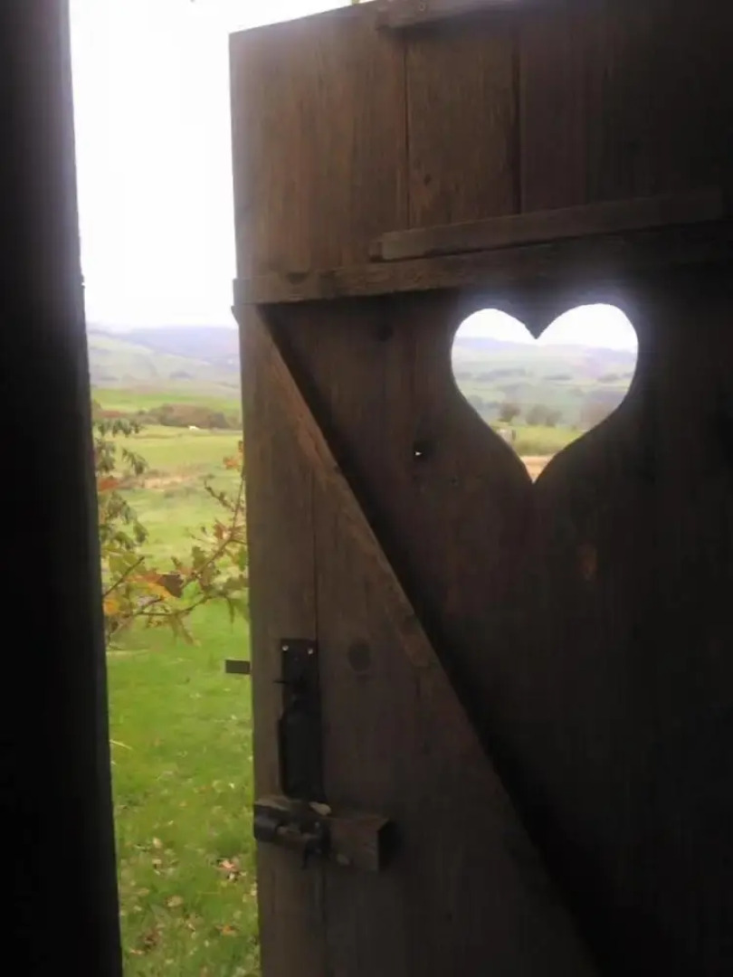 Vintage Safari Caravan