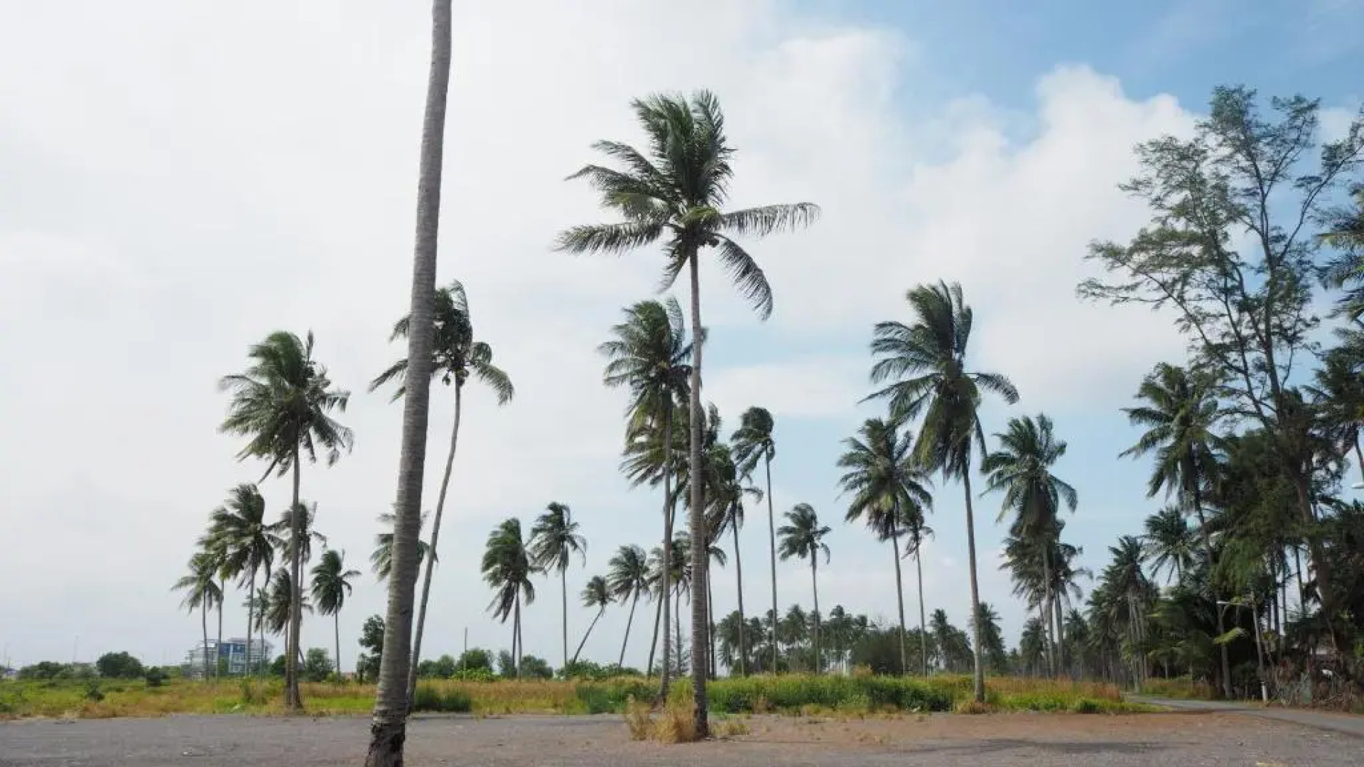 Lotus Seaview Beach Resort