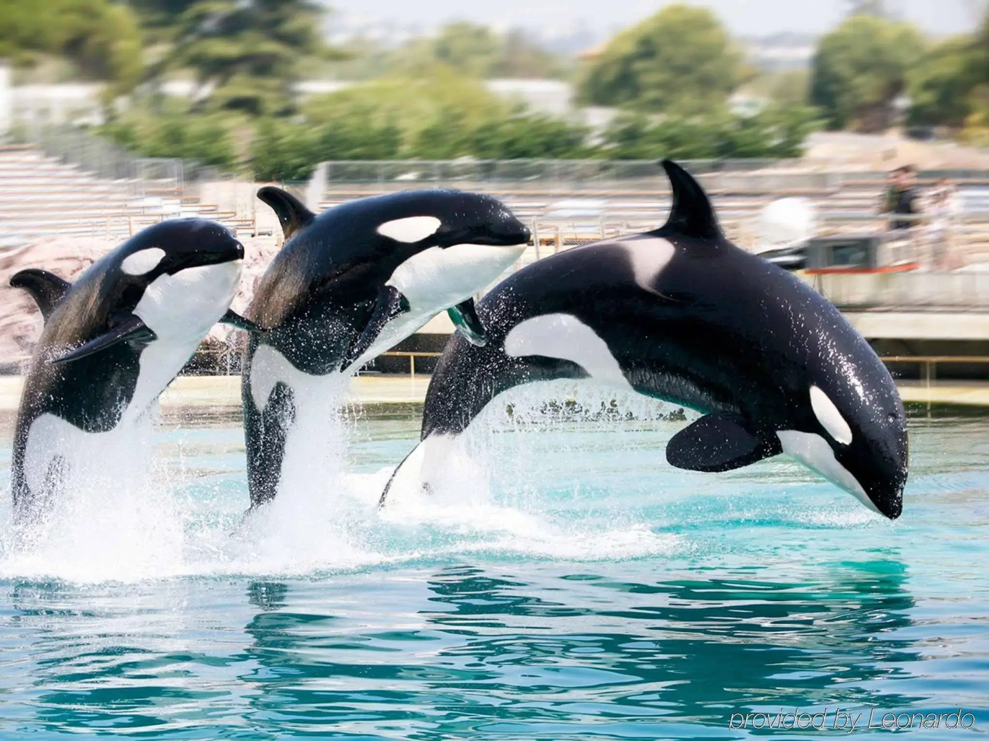 ibis Antibes Sophia Antipolis