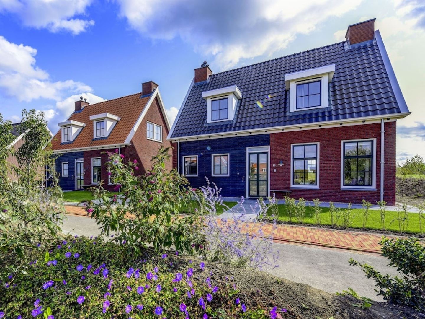 Ganuenta Colijnsplaat