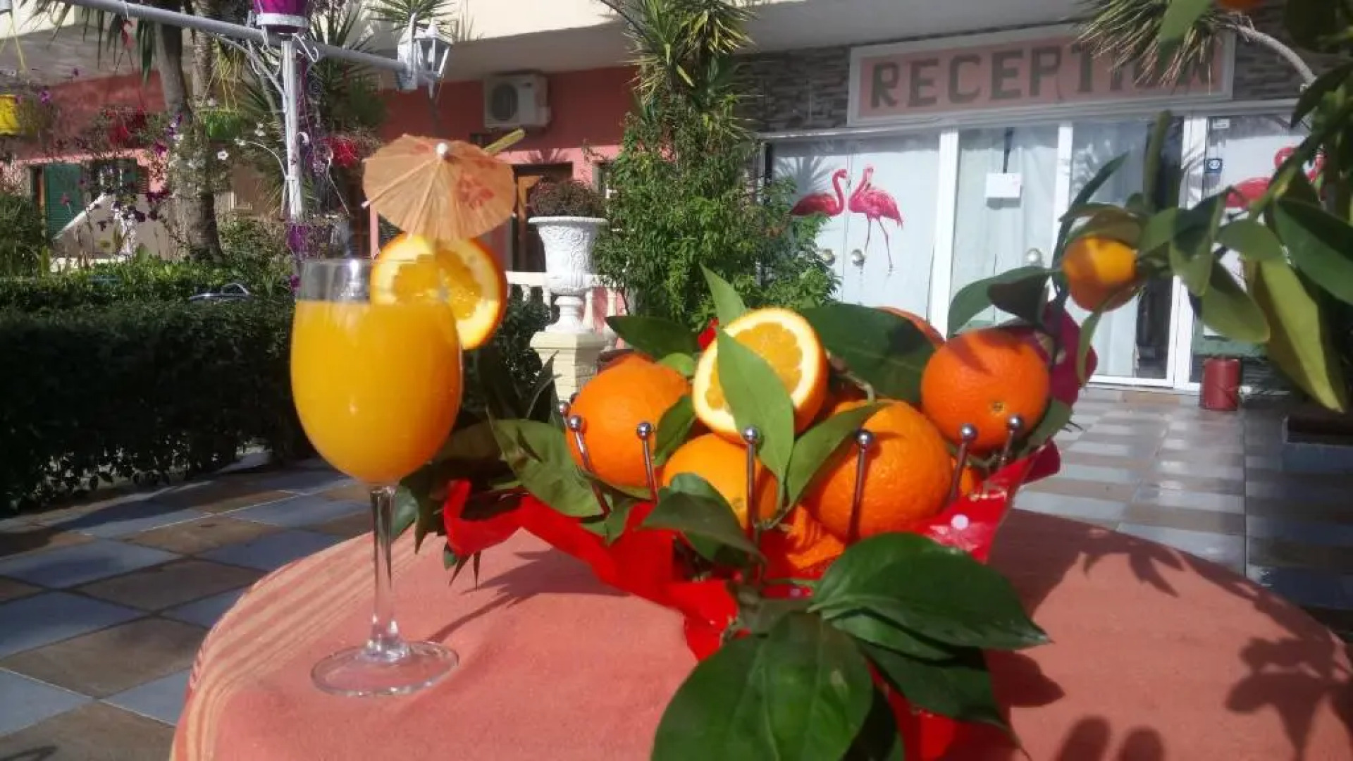 Flamingo Apartments Moraitika Corfu