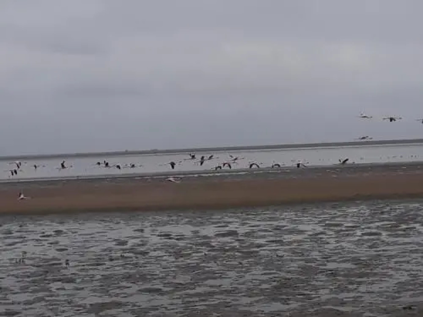 Elilo Bed And breakfast