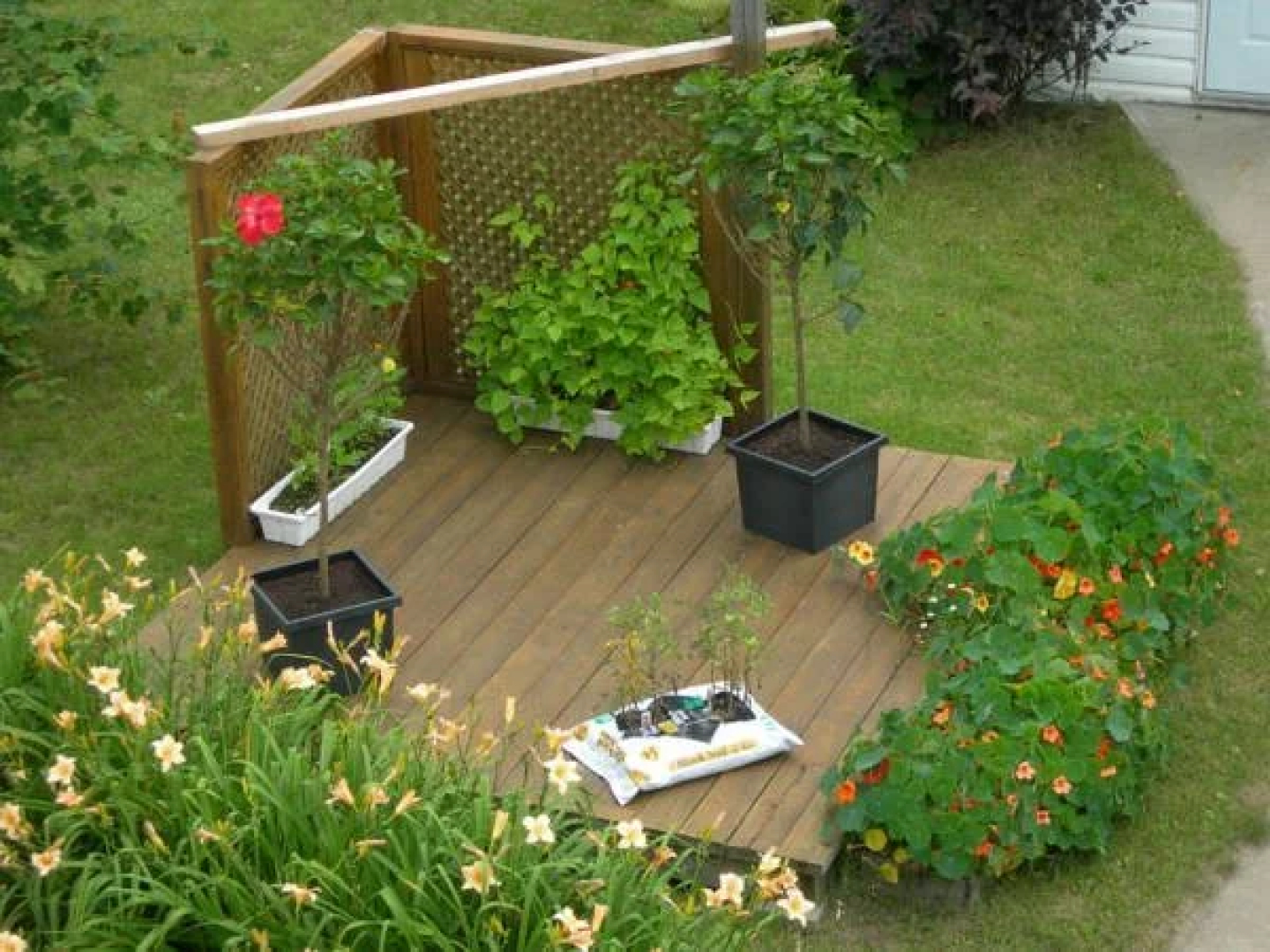 Gite aux Orchidï¿½es