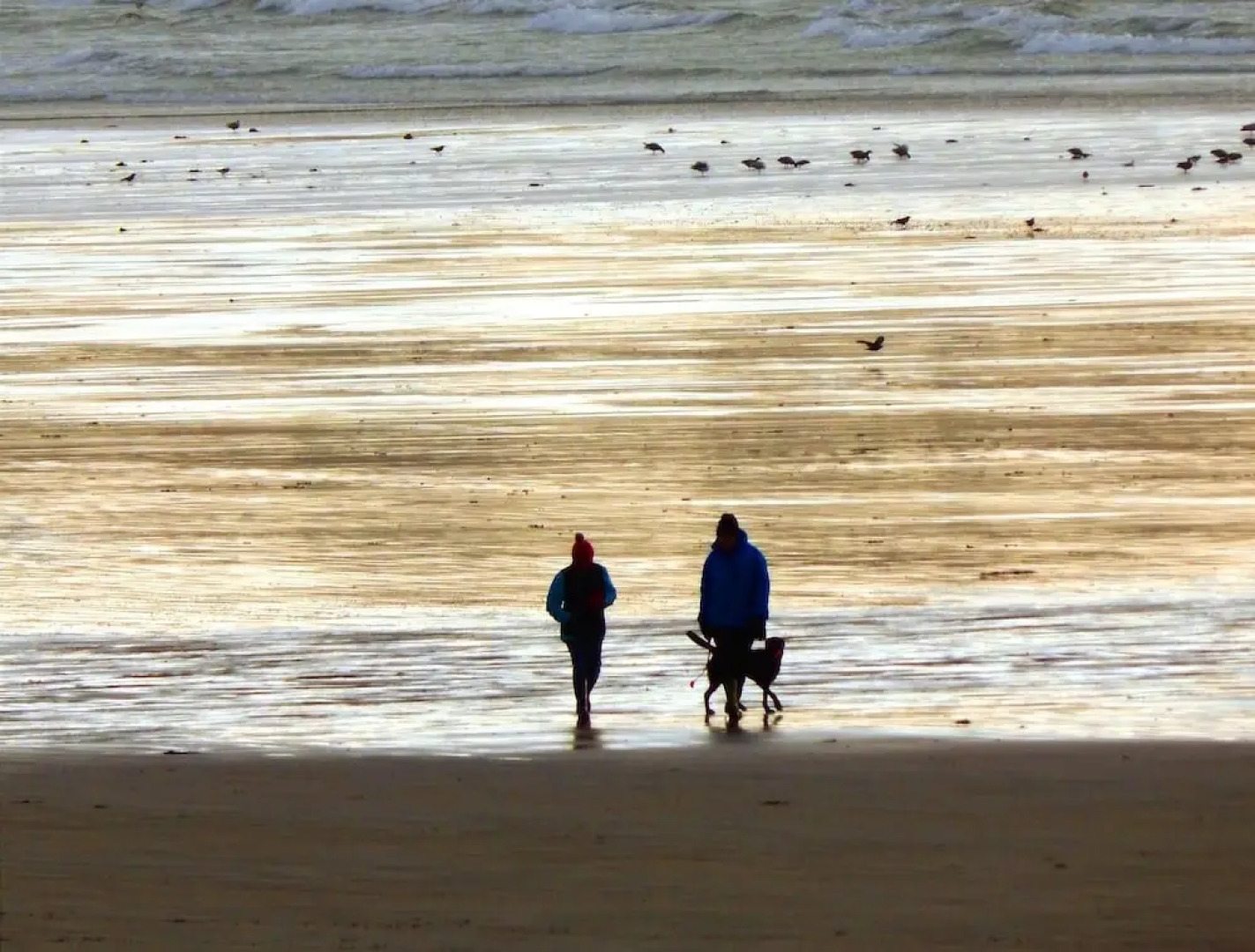 The Lyndhurst Jersey