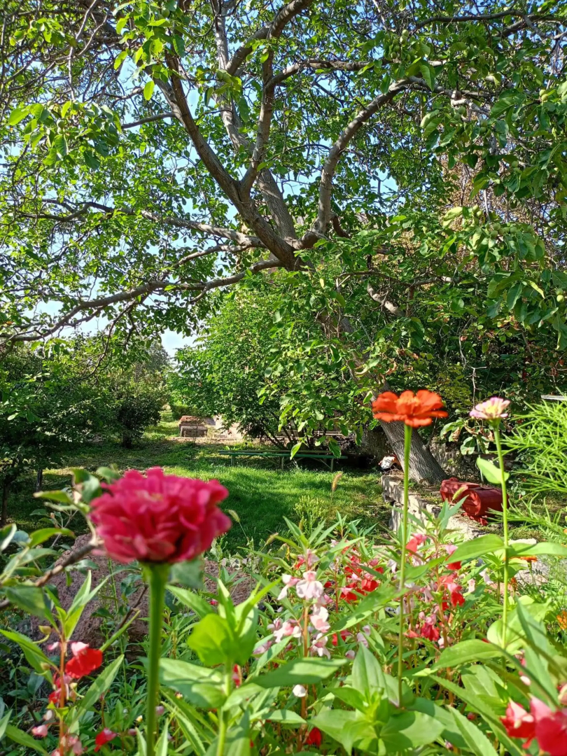 Selina Guest House