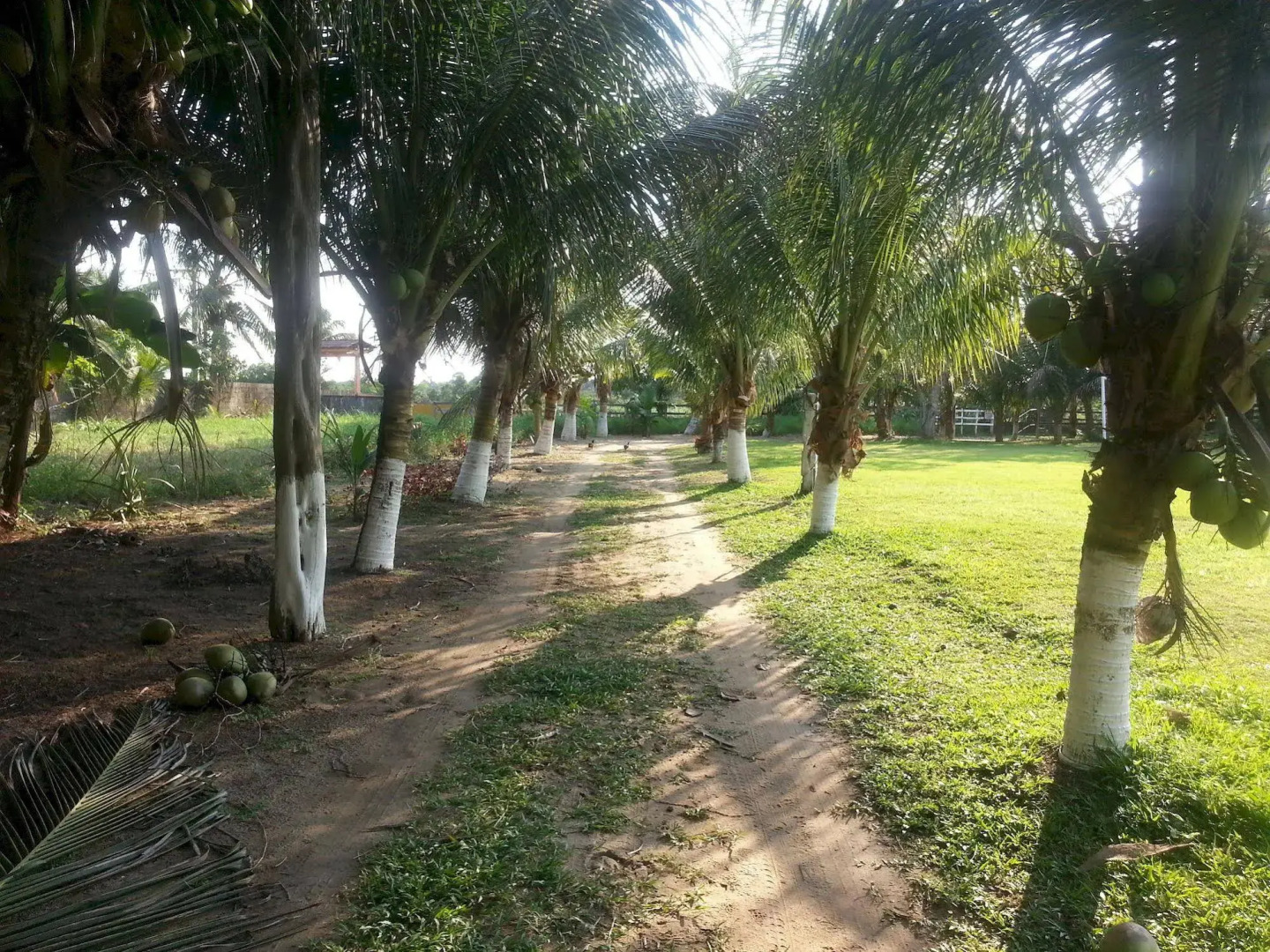 Chácara Santa Bárbara