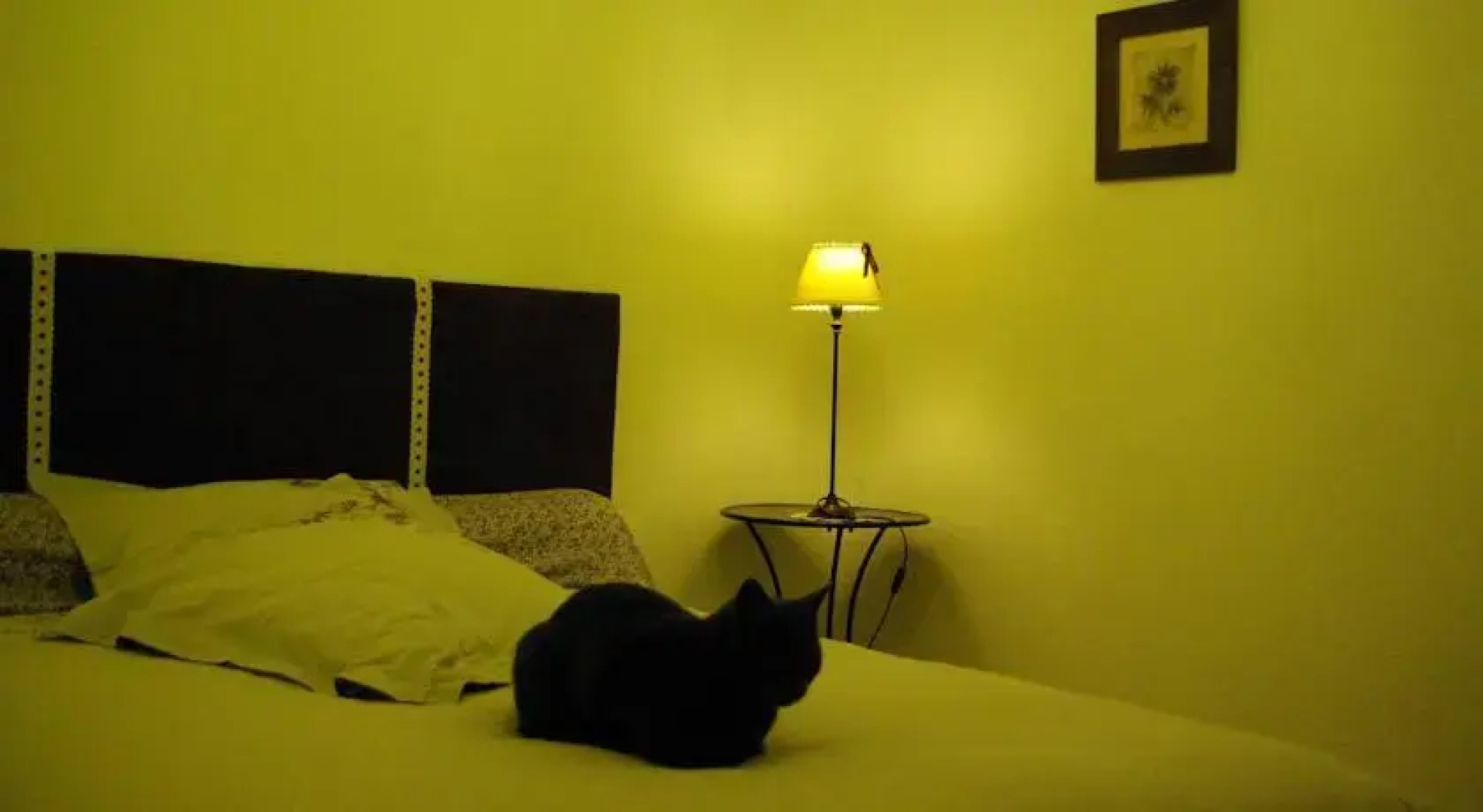 Les Dryades du Bois de Randan