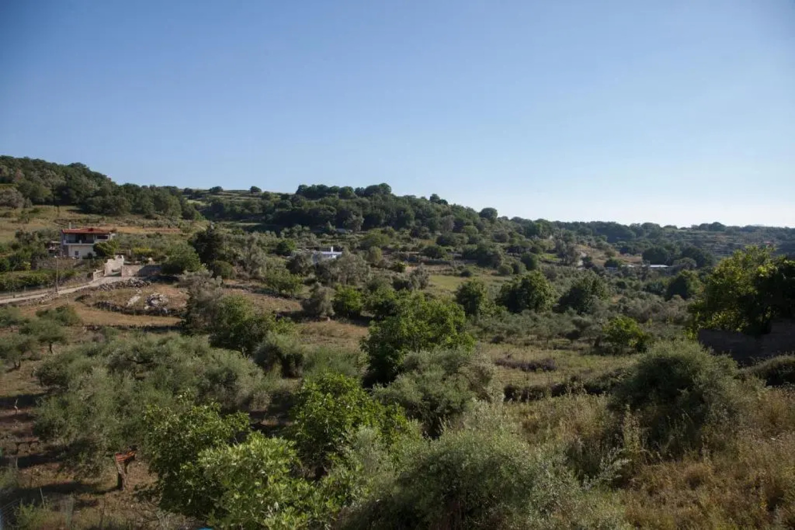 Alexandros Apartments