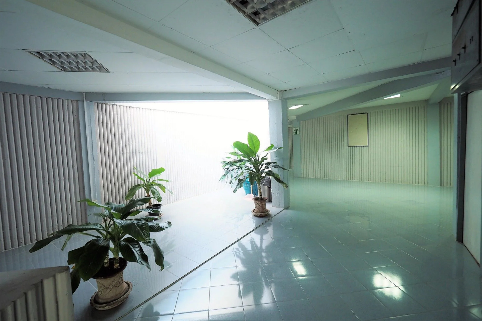 Pachara Hotel and Restaurant