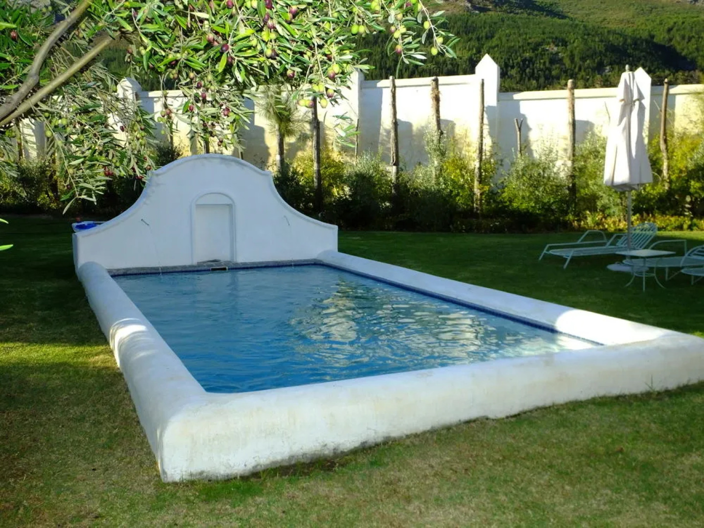 Goodings Groves Olive Farm