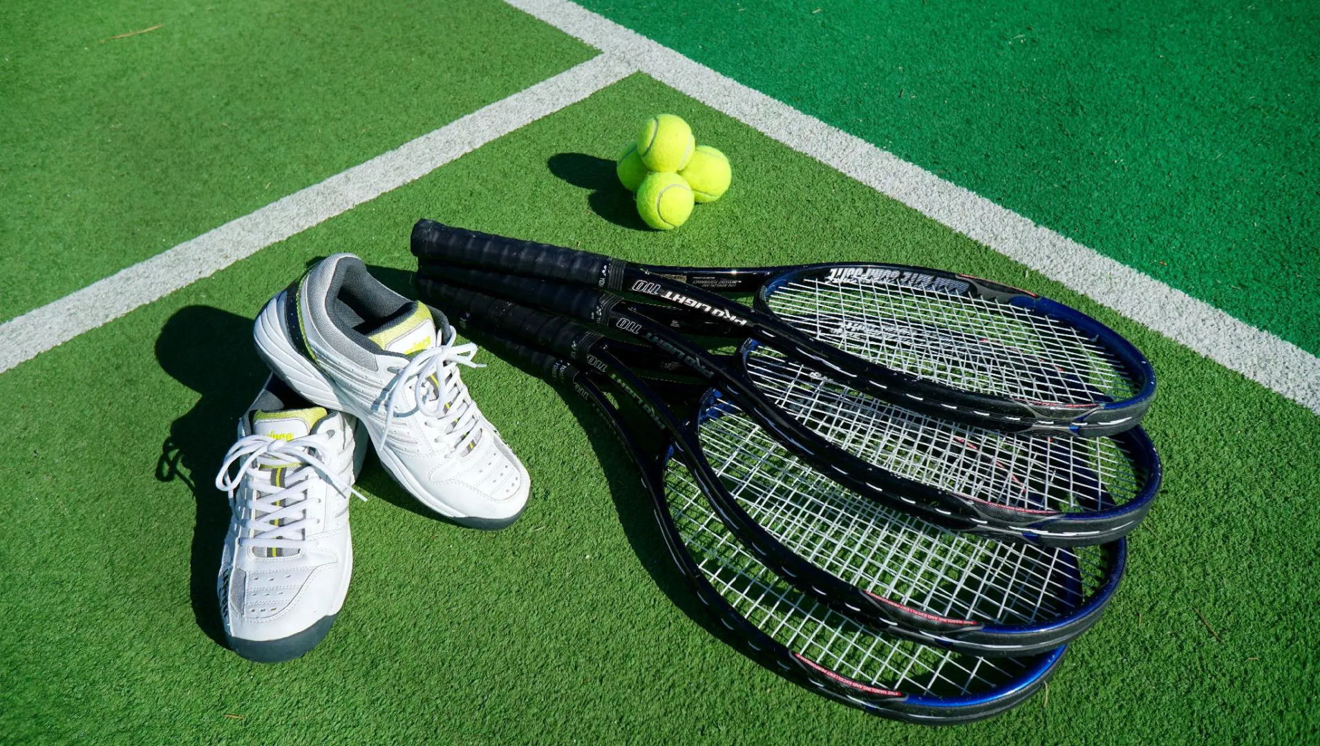 Lake Biwa Marriott Hotel