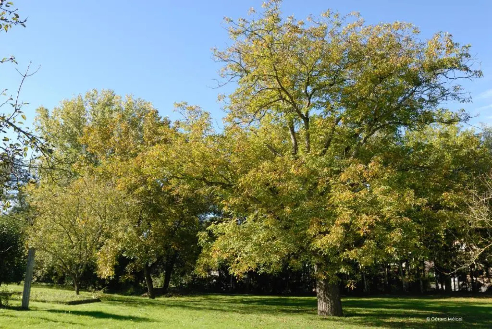 Auberge Saint Walfrid