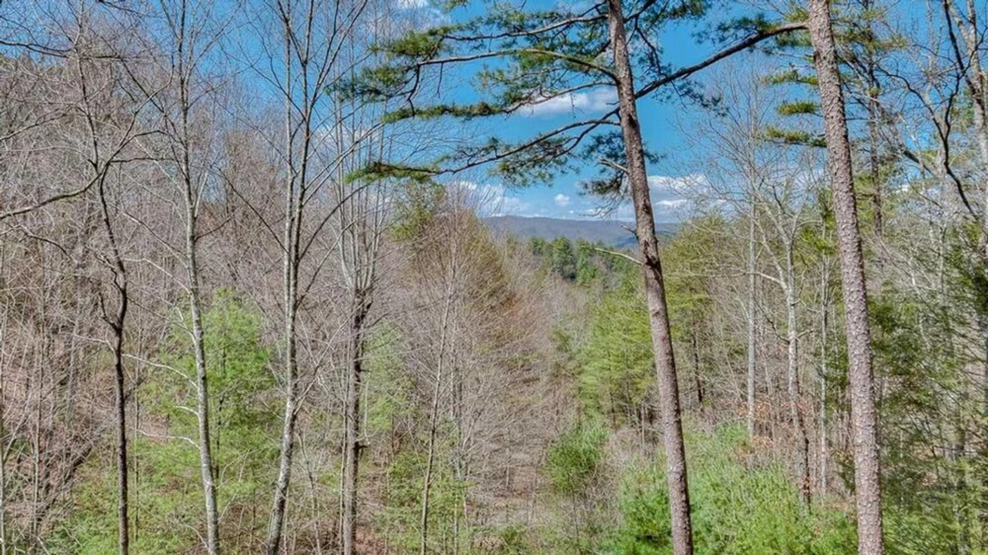 Wilderness Way by Escape to Blue Ridge