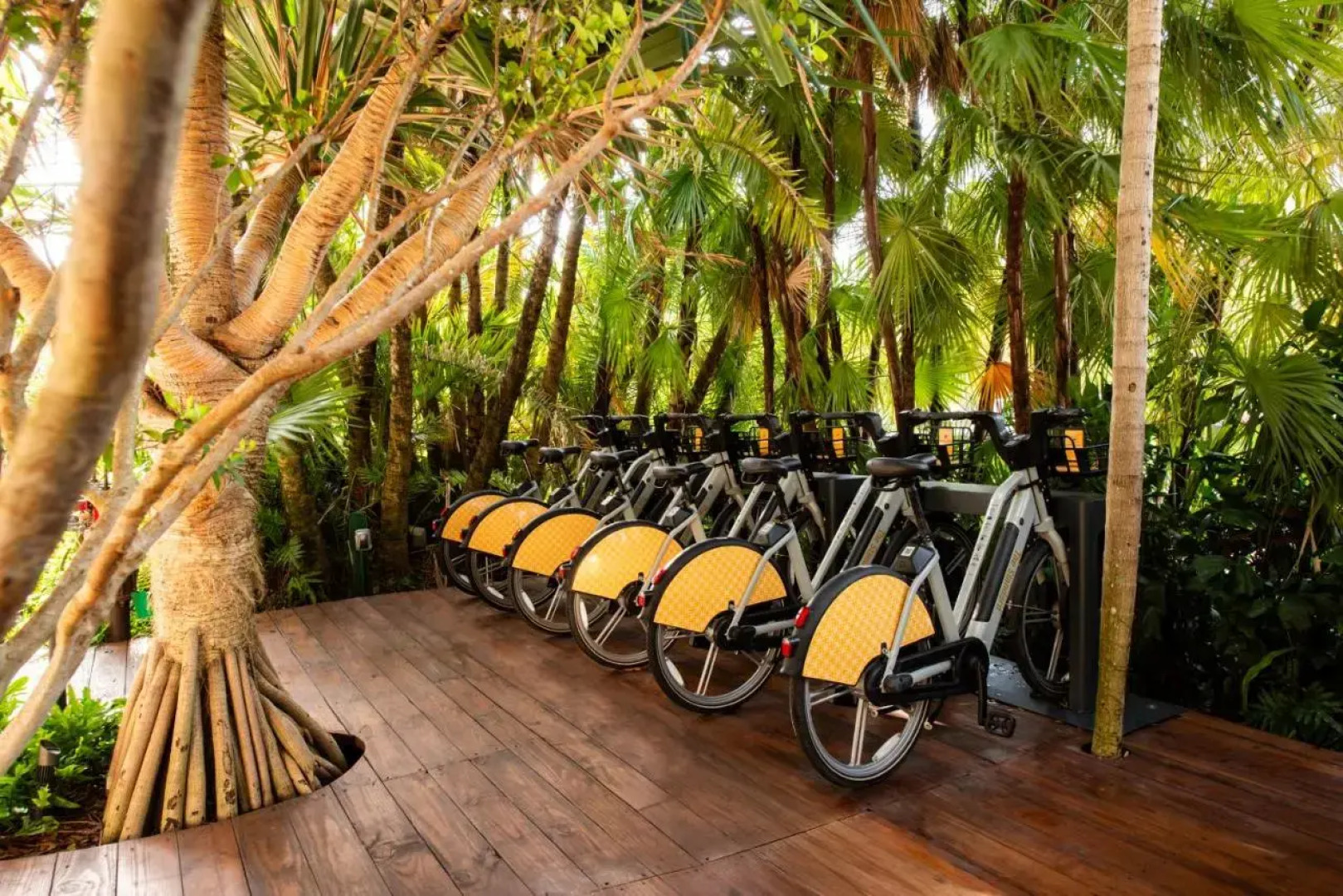 The Standard Spa Miami Beach