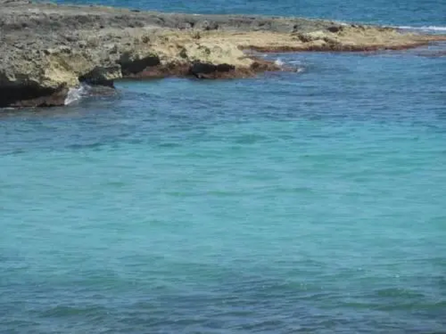 LUlivo Bed and Breakfast