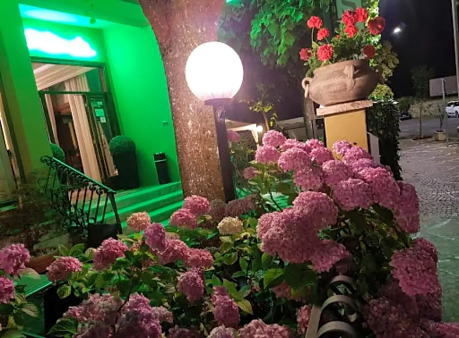 Hotel Delle Ortensie