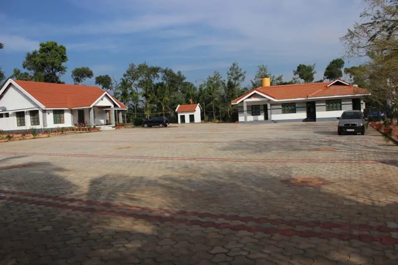 Black pepperz Gardenia