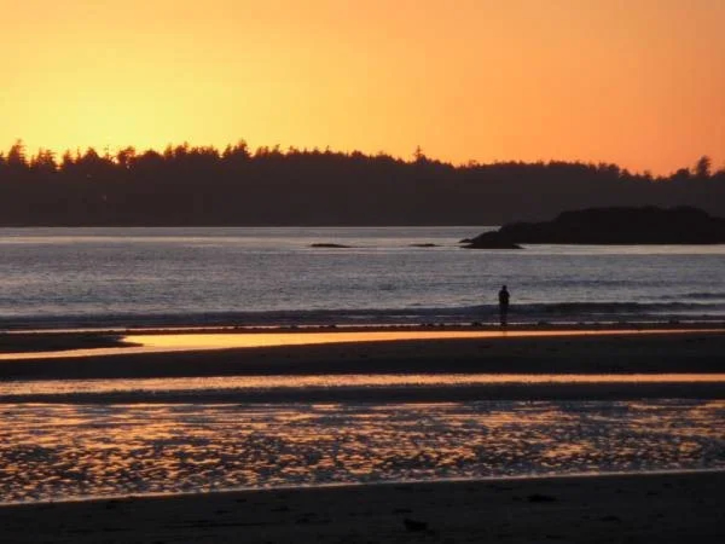 Tofino Motel Harborview