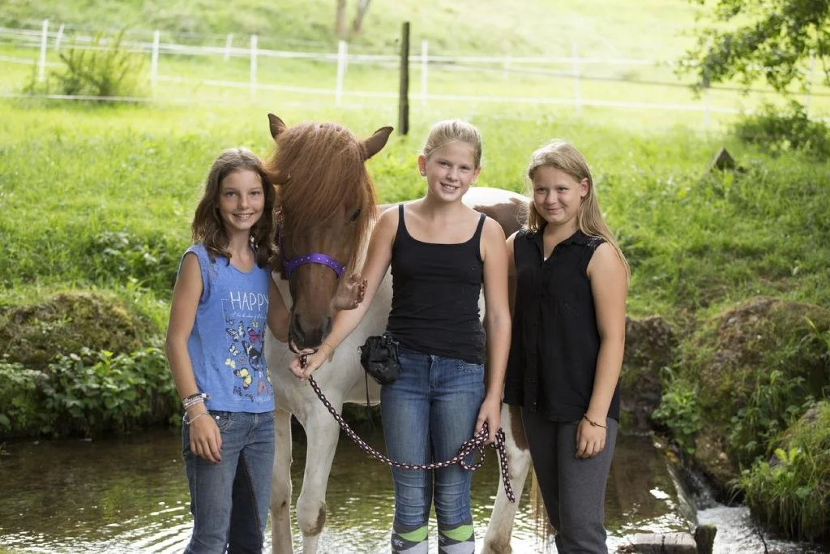 Hotel Reitzentrum Hausruckhof
