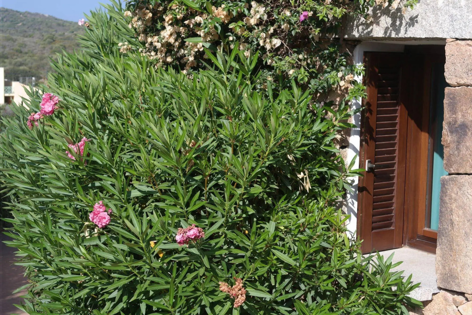 Sardinia Blu Residence